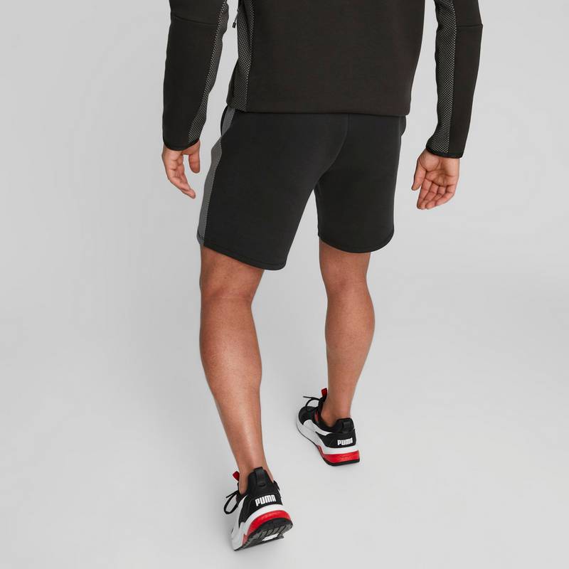 PUMA Evostripe Trainingshose Herren