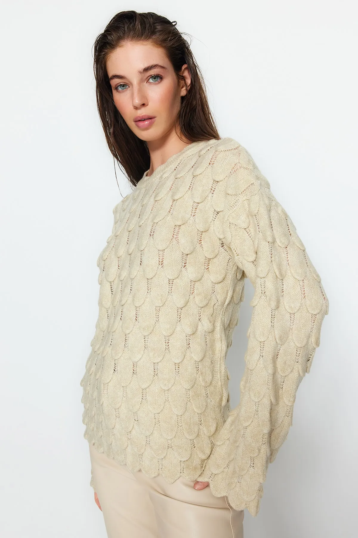 Trendyol Collection  Stone Selbstgemusterter Strickpullover mit Rundhalsausschnitt TWOAW24KZ00209