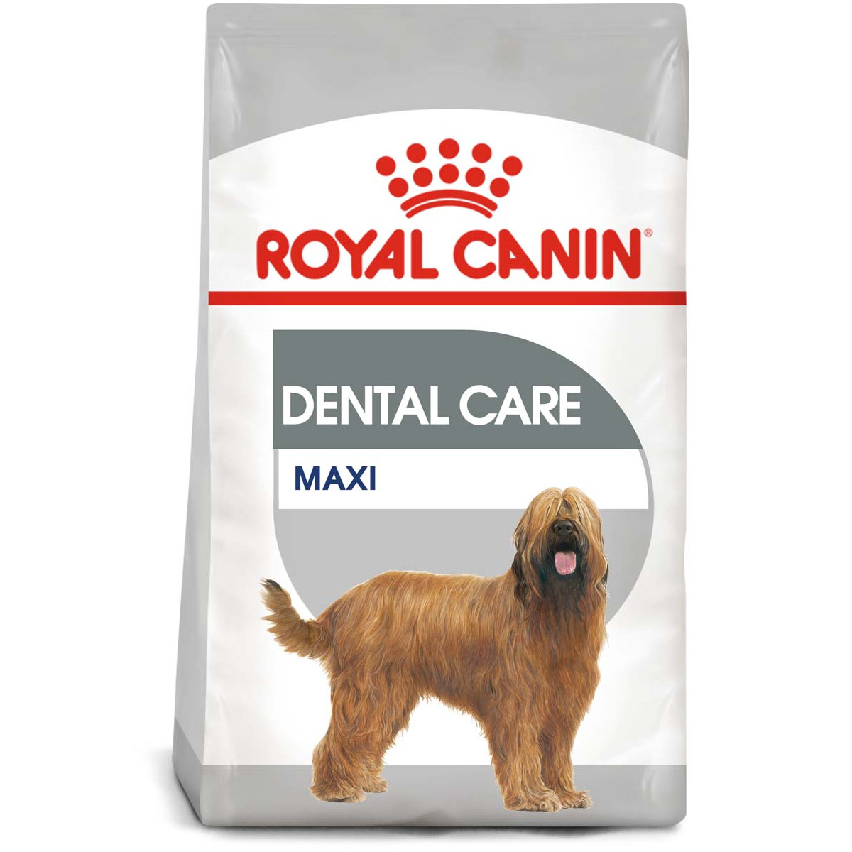 ROYAL CANIN DENTAL CARE MAXI Trockenfutter für große Hunde mit empfindlichen Zähnen