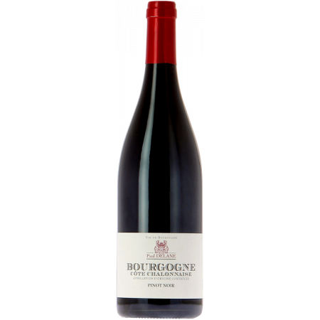 BOURGOGNE COTE CHALONNAISE PINOT NOIR PAUL DELANE 2021 - VIGNERONS DE BUXY