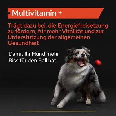 PRO PLAN Dog Adult Multivitamin Supplement Tabletten