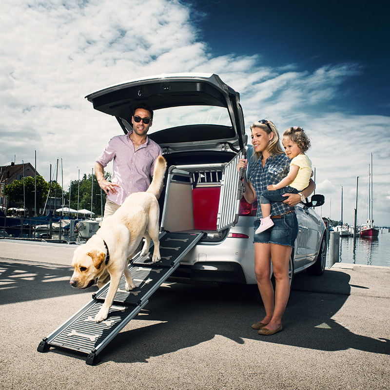 4pets Autozubehör 4pets Rampe EasySteps