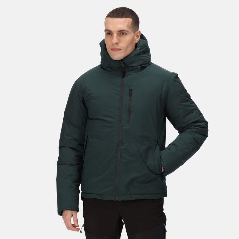 Regatta Colehurst Winterjacke Herren