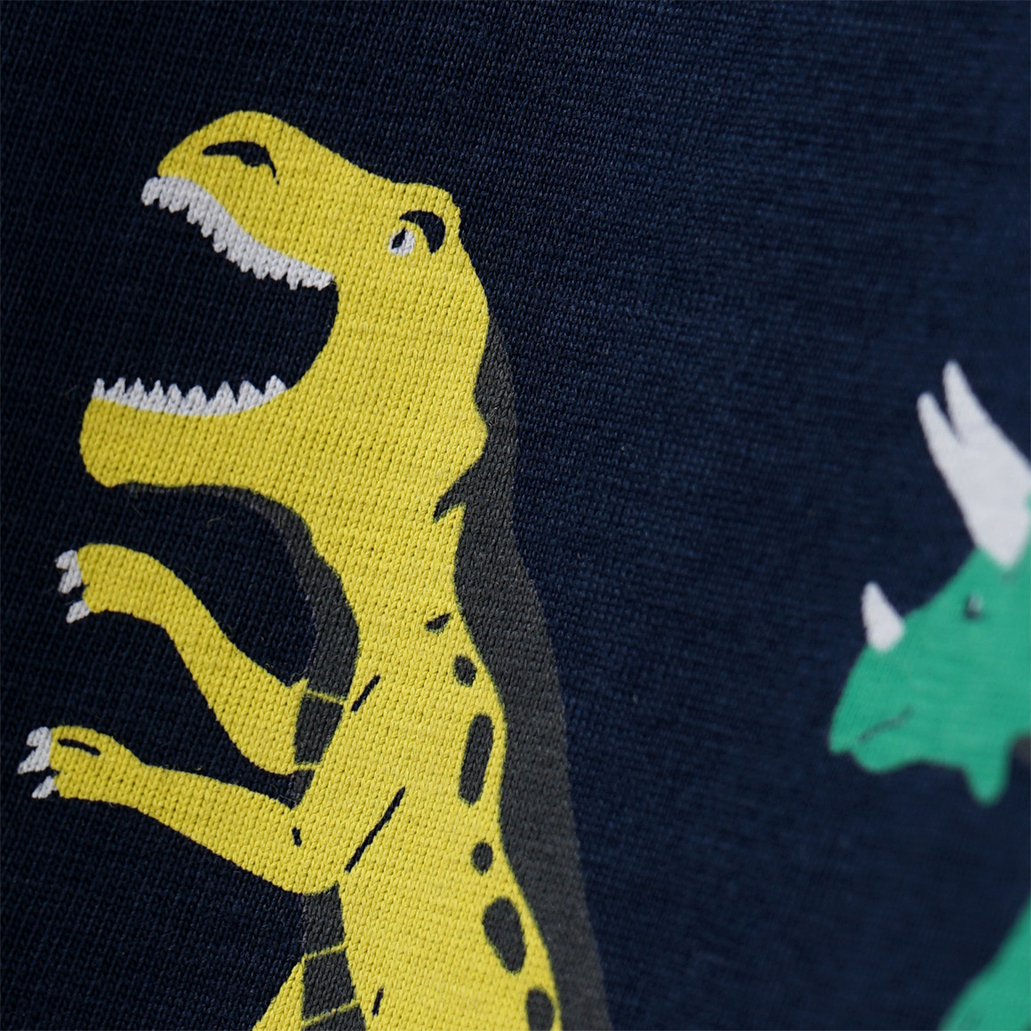 Jungen Langarmshirt mit Dino-Allover
