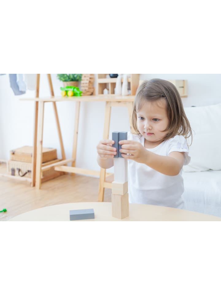 Plan Toys Essential Serie: Formen legen ab 18 Monate günstig kaufen onesize