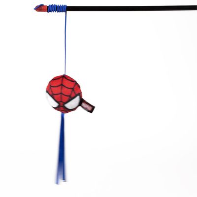 Katzenangel Spiderman