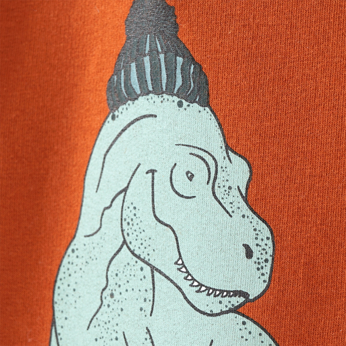 Jungen Langarmshirt mit Dino-Motiv