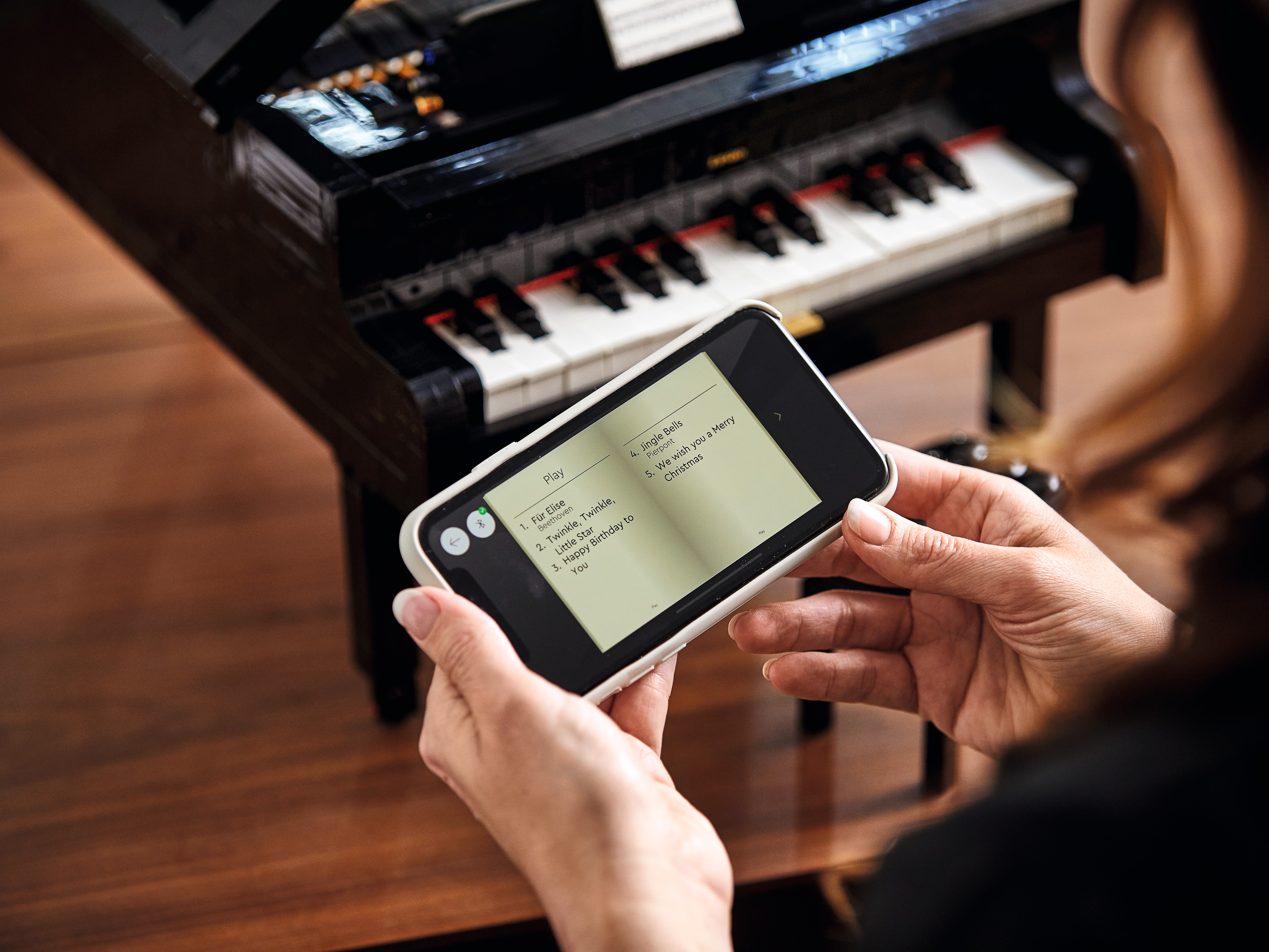 Le piano à queue 21323