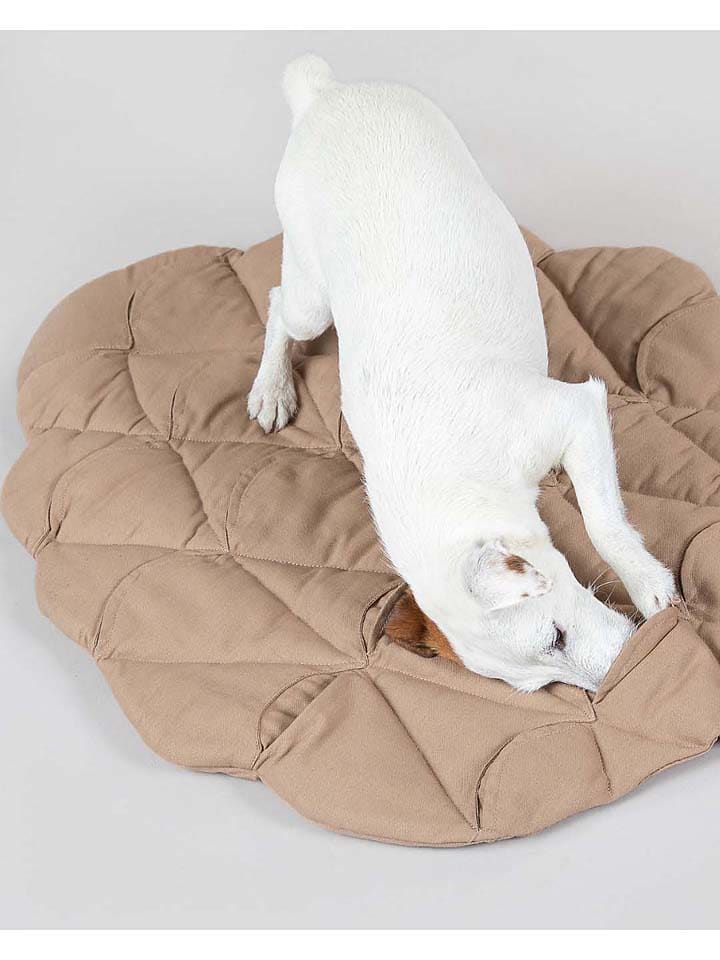 Paikka Hunde-Schnüffelteppich in Hellbraun günstig kaufen 80x62 cm