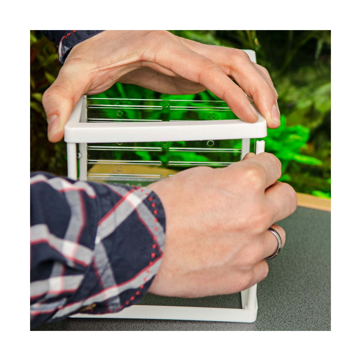 Hobby Ablaichbehälter Nido 3.1 günstig kaufen