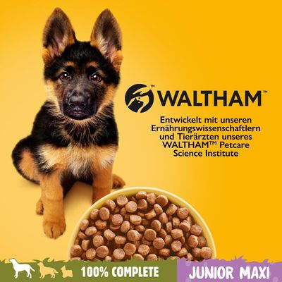 Pedigree Junior Maxi mit Huhn & Reis
