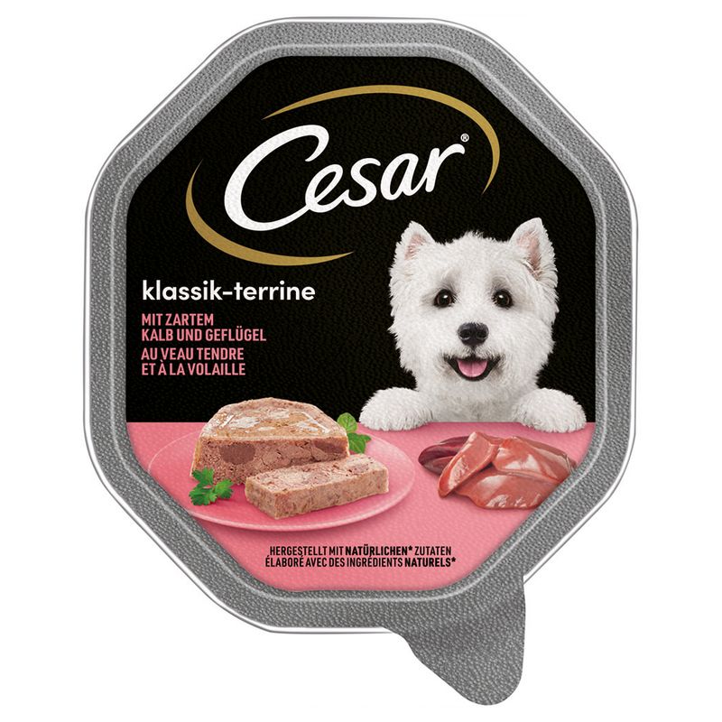 Cesar Schale 14 x 150 g