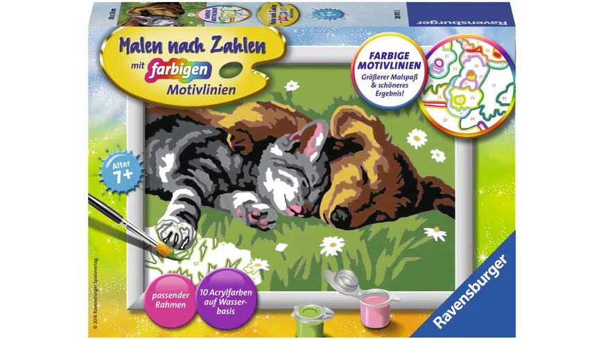 Ravensburger Beschäftigung - Malen nach Zahlen mit farbigen Motivlinien - Tiefer Schlaf