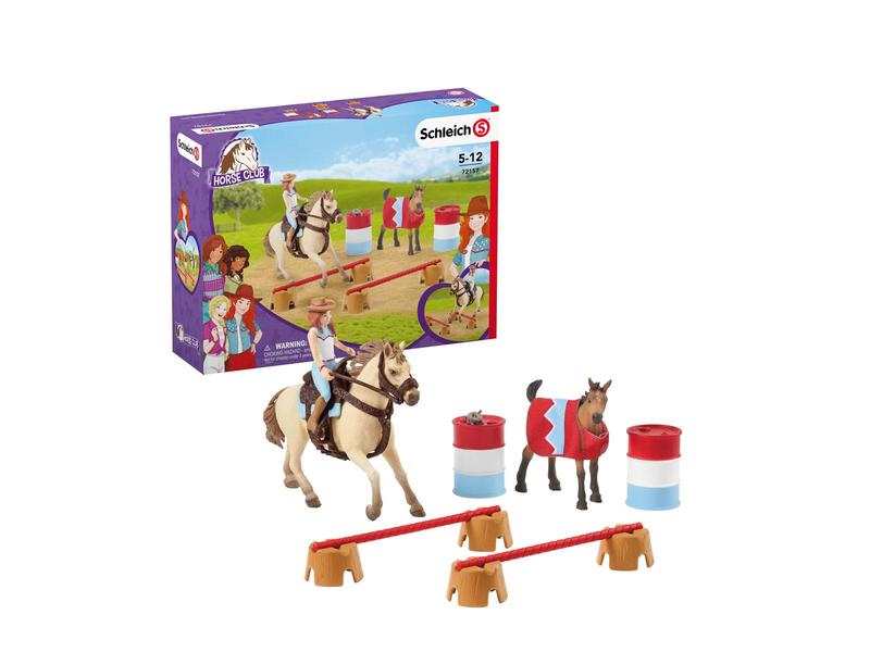 Horse stall with Arab horses and groom