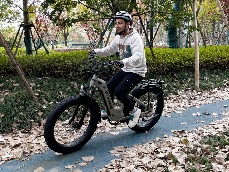 Ranger Step-Thru 2.0 Electric Bike