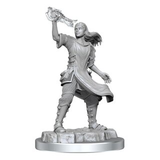 D&D Nolzur's Marvelous Miniatures: Aasimar Cleric Female (2)