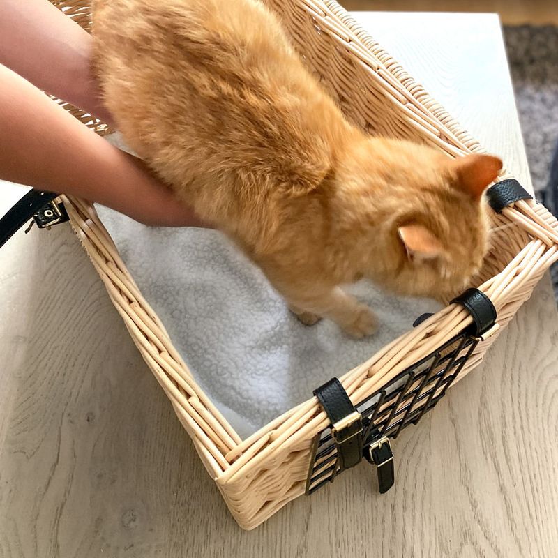 Aumüller Katzentransportkorb/Wohnhöhle zu TOP-Preisen | bitiba %