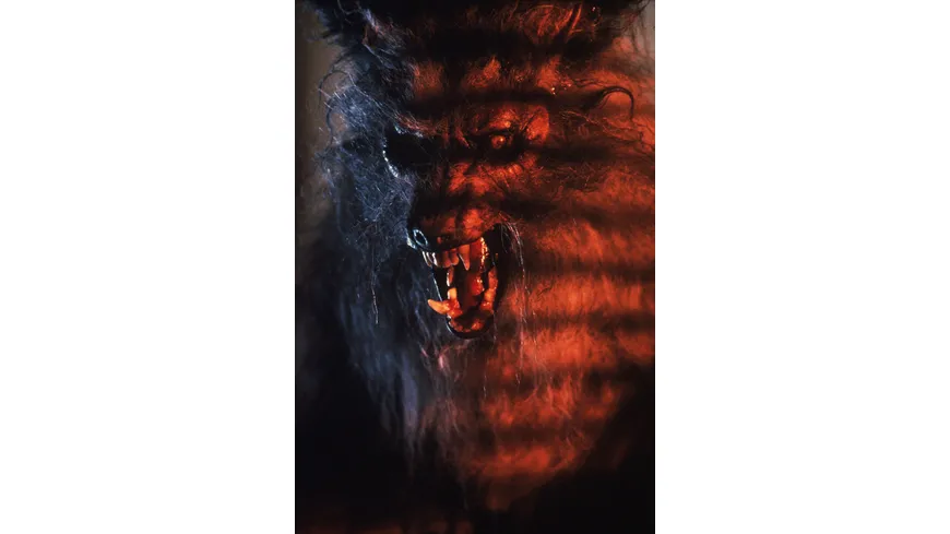 The Howling - Das Tier / Digital Remastered in 4K