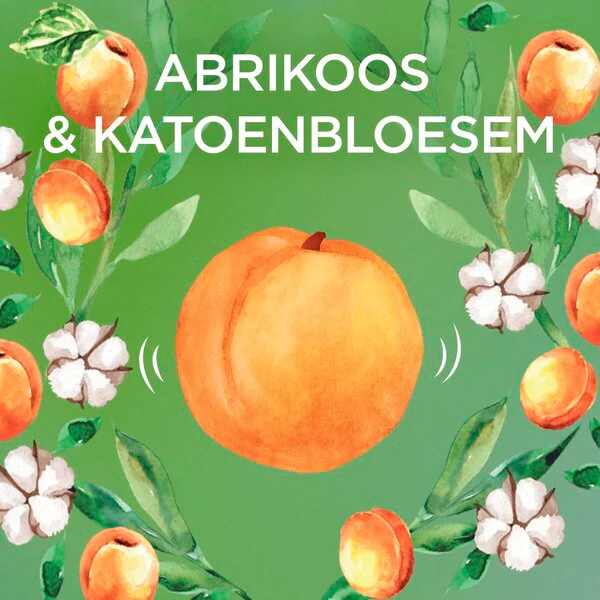 Garnier Loving Blends Kids Apricot 2-in-1 Shampoo & Conditioner 250ml