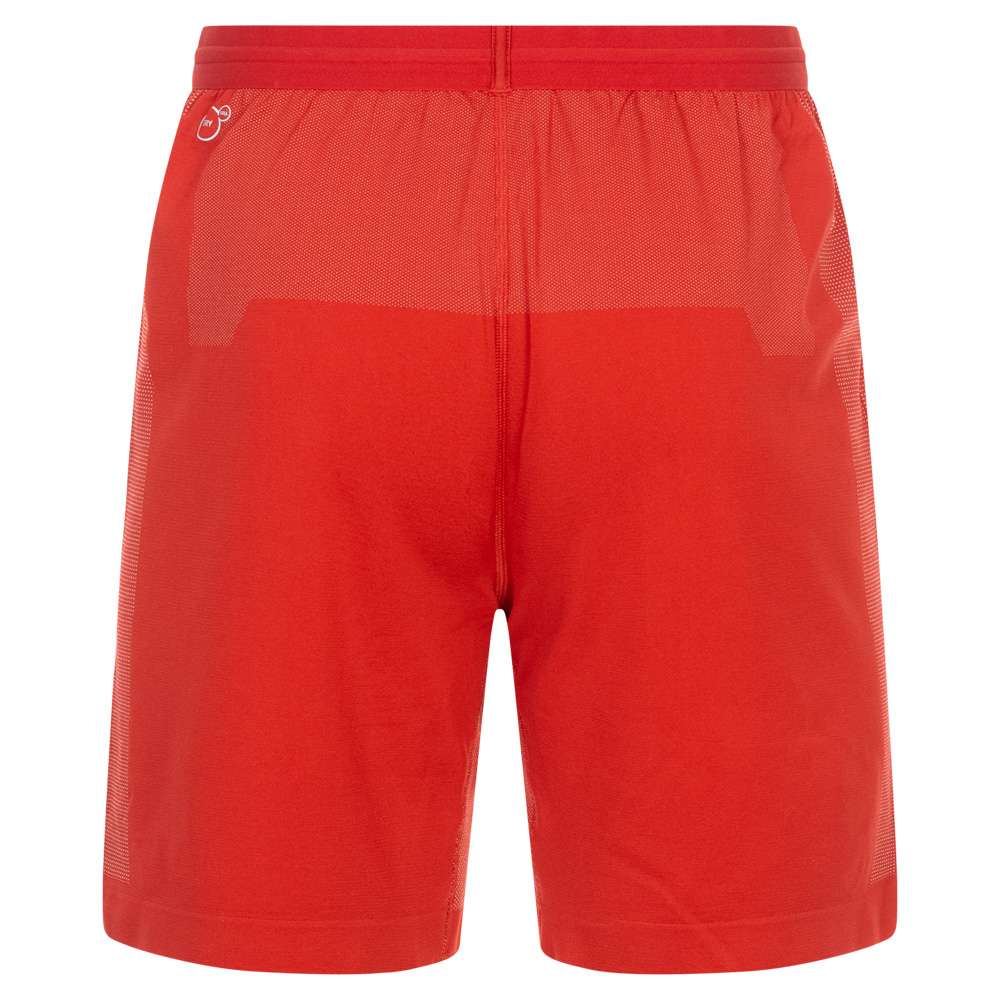 Kamerun PUMA Herren Training Shorts 752332-05