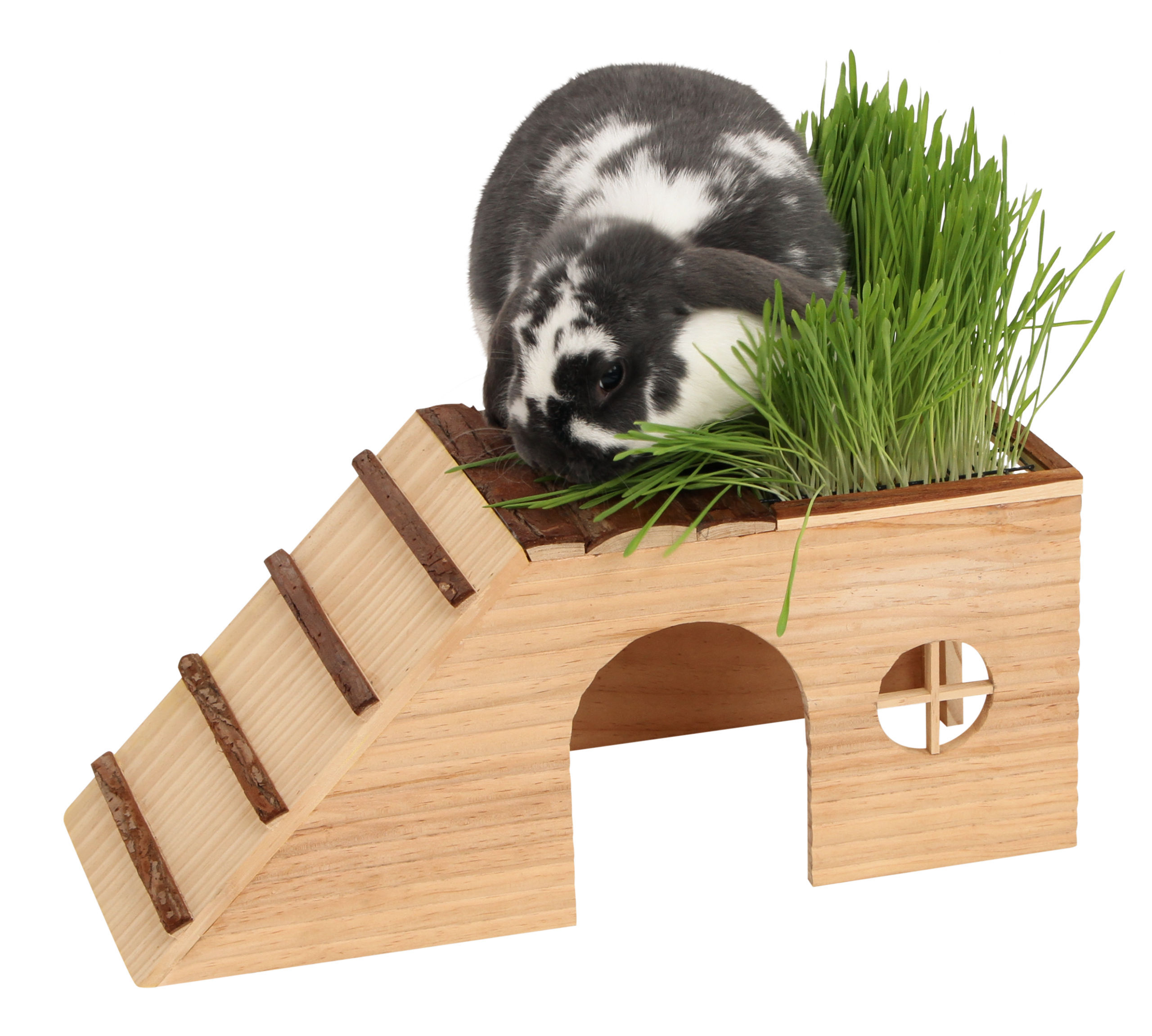 Kerbl Käfigzubehör Kerbl Pet Nagerhaus mit Rampe und Futterplatz Nature