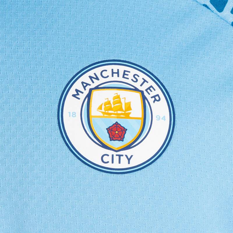 PUMA Manchester City 1/4 Zip Funktionssweatshirt Herren