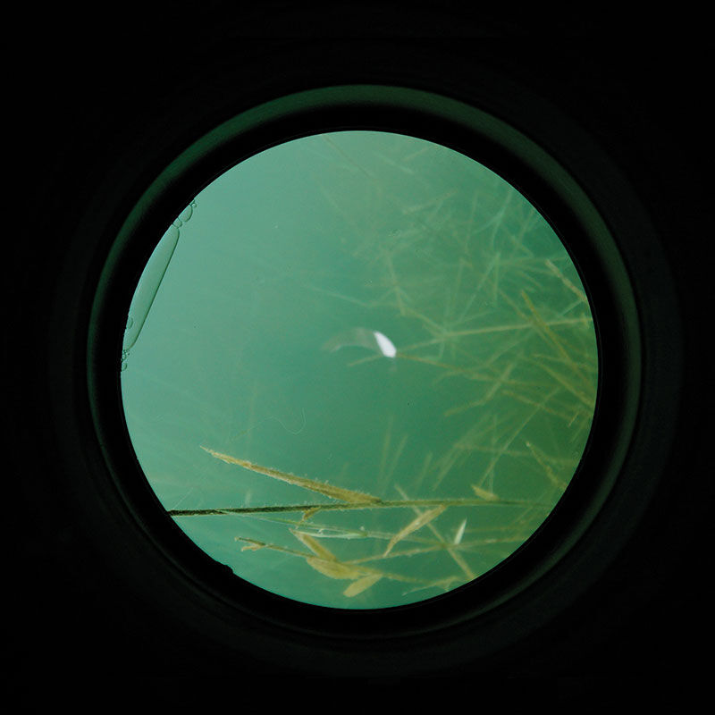 Aquascope kapr kapr duch skenování vody