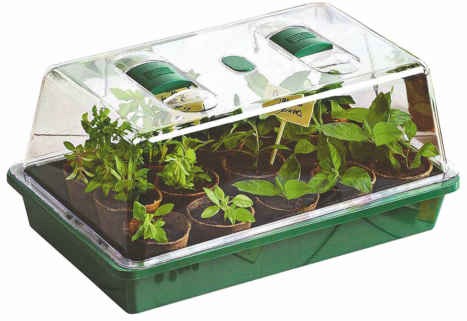 Haushalt International Anzuchttopf Mini Gewächshaus - 38 x 24 cm - Anzuchtschale