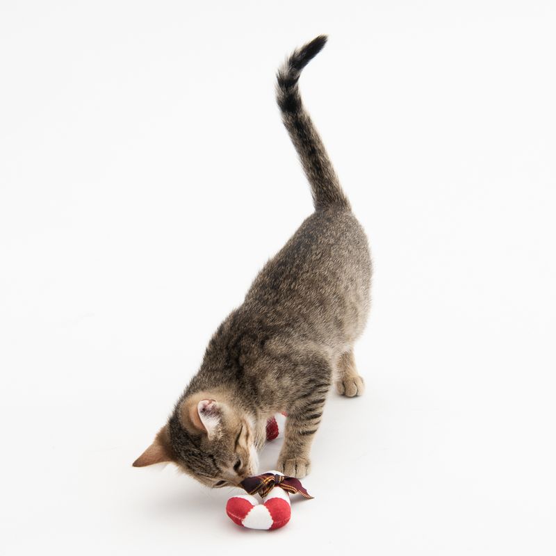 TIAKI Katzenspielzeug Christmas Candy mit Katzenminze | bitiba %