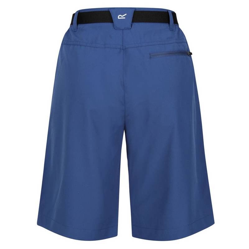 Regatta Xert It Shorts Damen