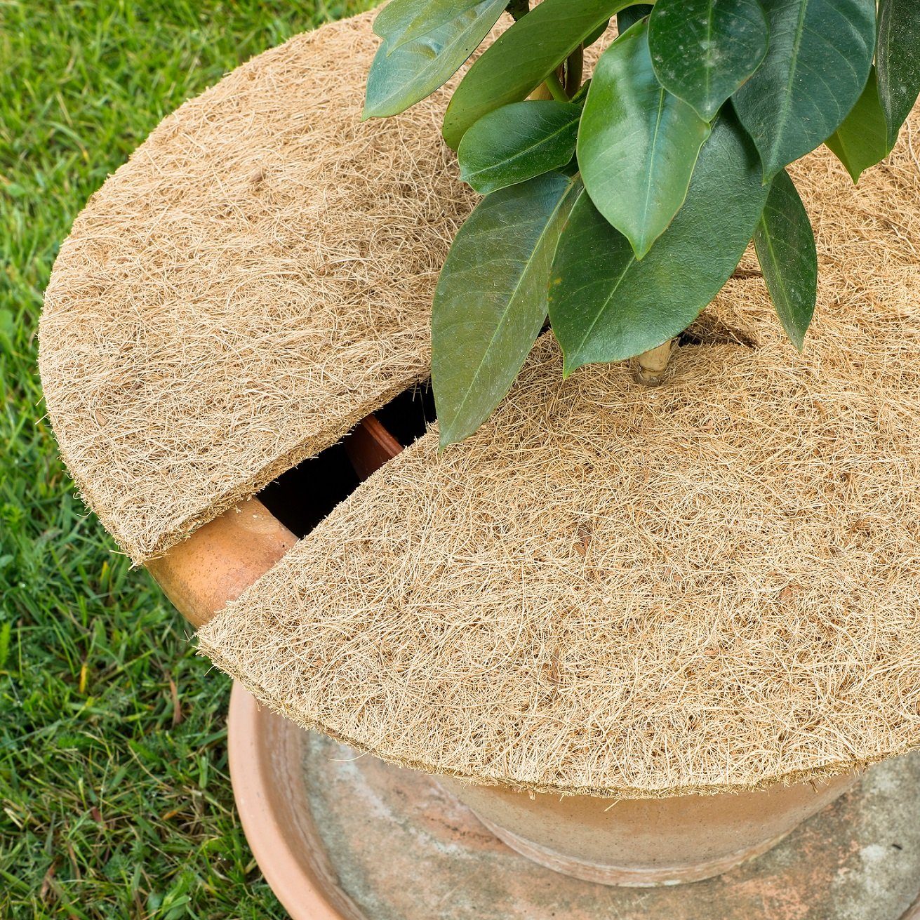 GartenHero Kokosscheibe Kokosscheibe isolierend Kokosmatte Winterschutz Frostschutz Abdeckung, (2-St)