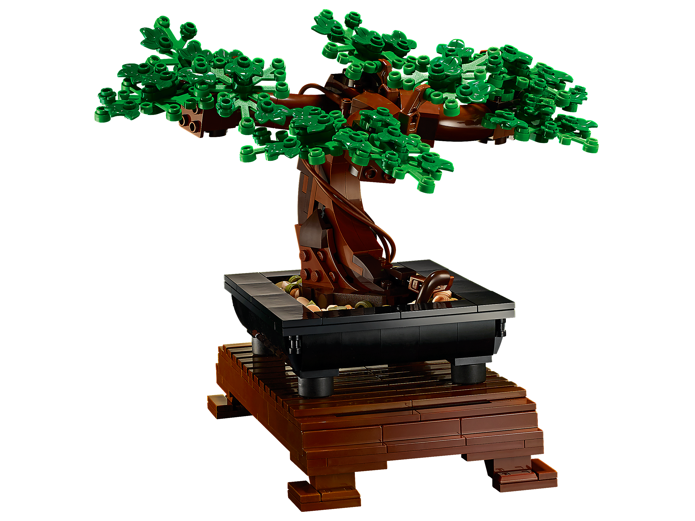 Bonsai Baum 10281