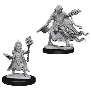 Evil Wizards: Pathfinder Deep Cuts Unpainted Minis