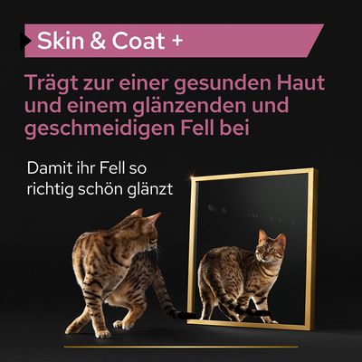 PRO PLAN Cat Adult Skin and Coat Supplement Öl