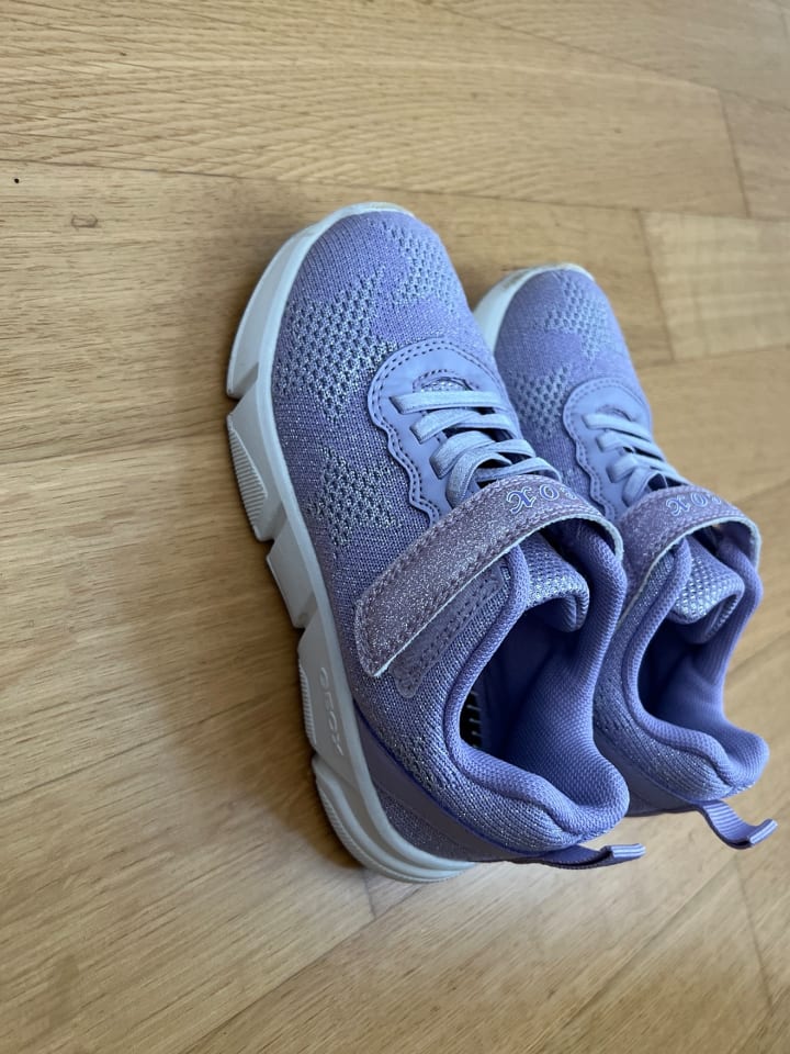 Geox Sneakers 