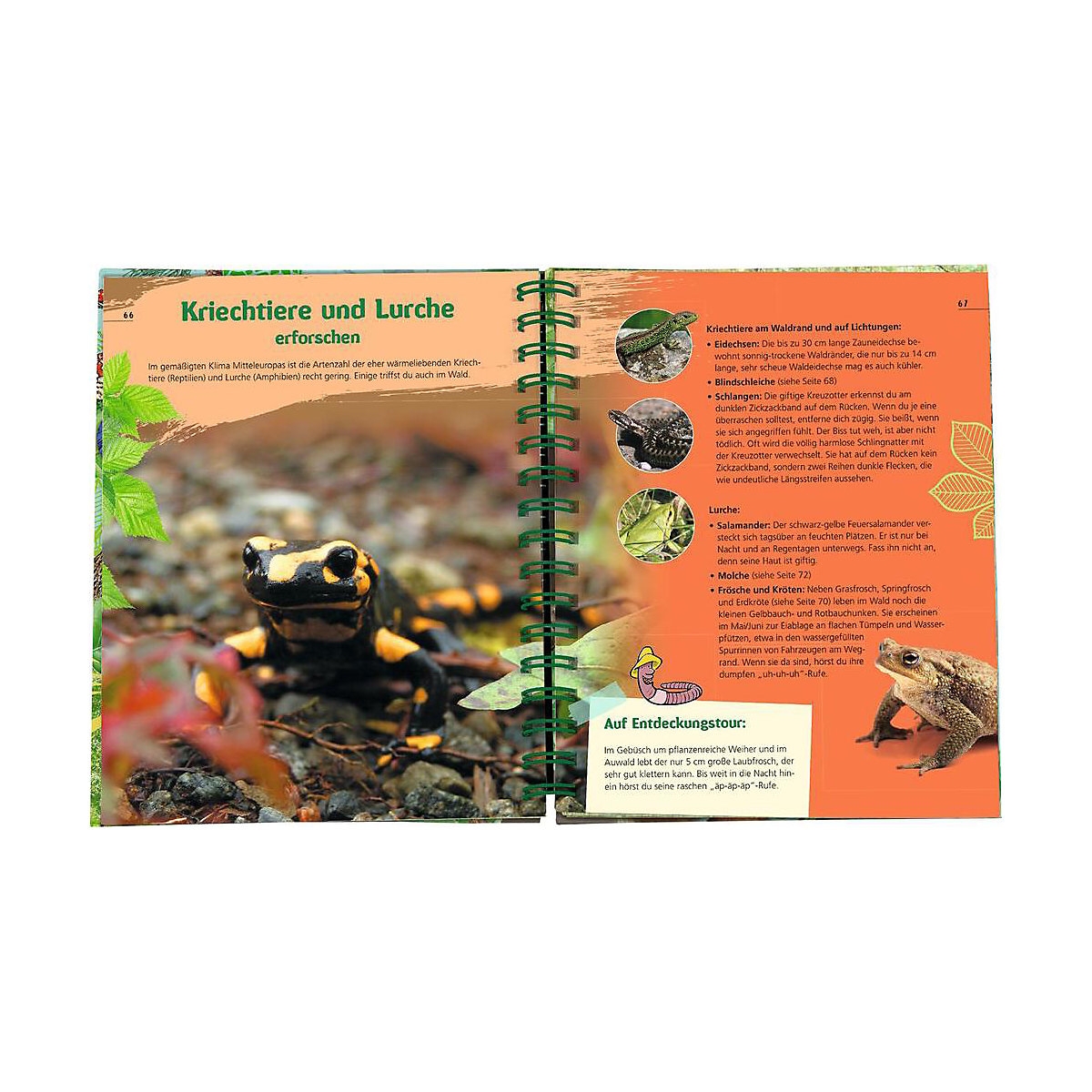 Expedition Natur: Das Wald-Forscherbuch