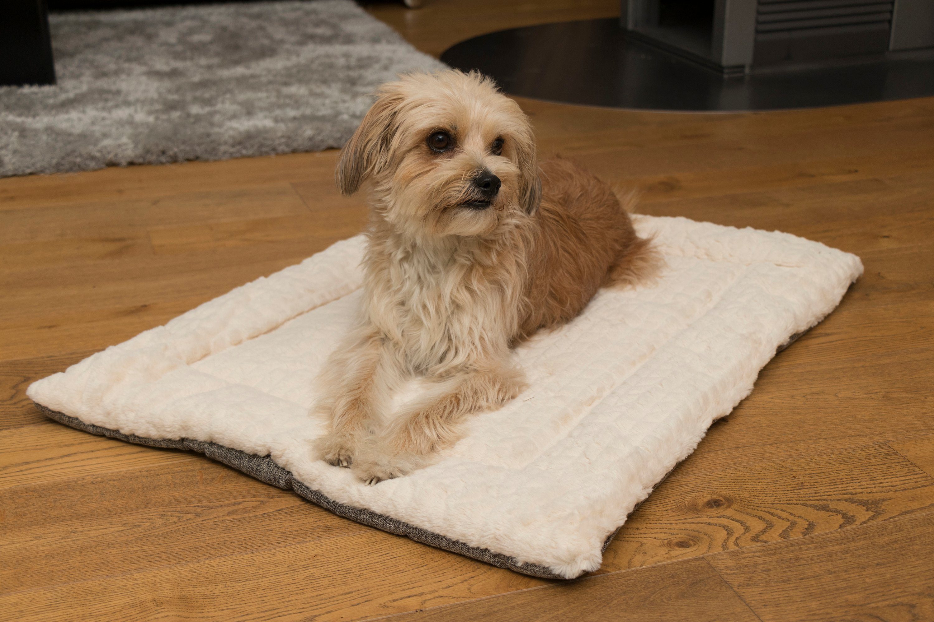 TrendPet Tierdecke Hundedecke 