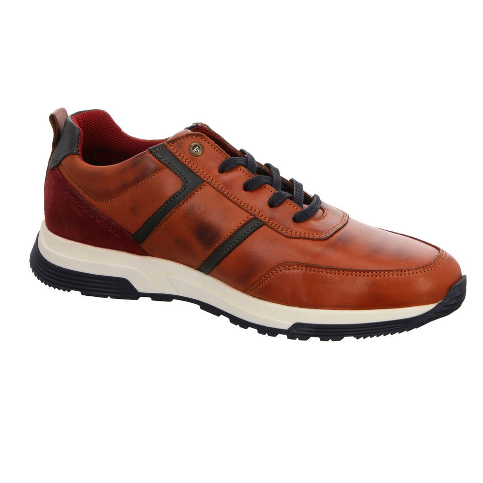 SALAMANDER Dayman Sneaker
