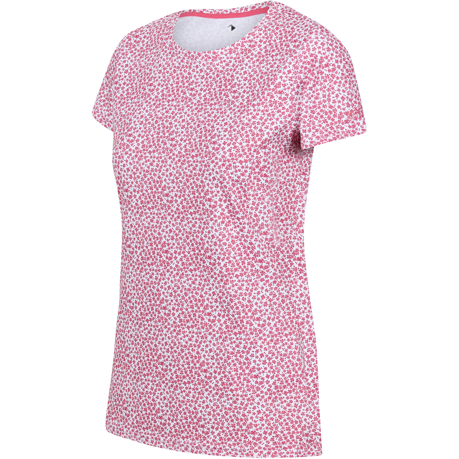 Regatta Damen T-Shirt Fingal Edition (fruit dove)
