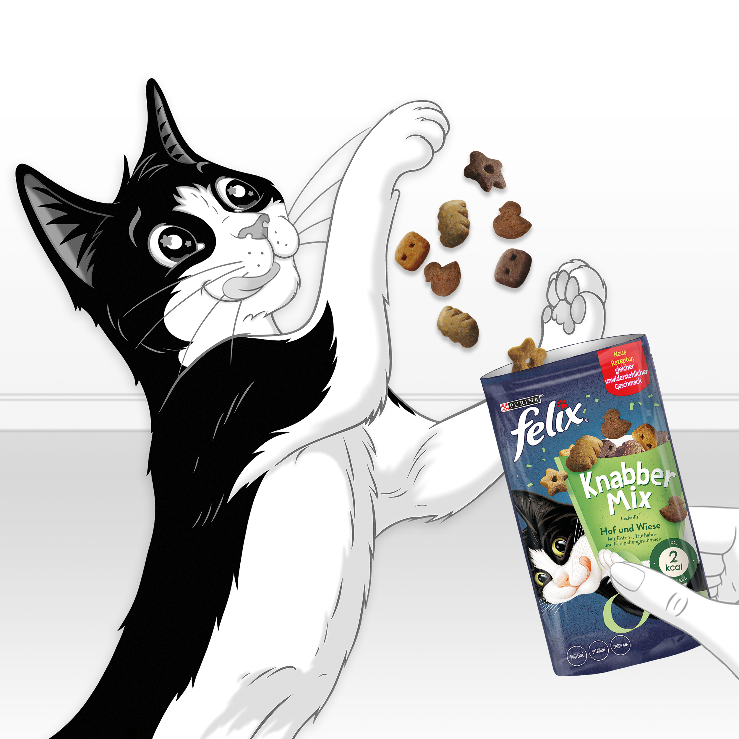 Felix Snacks Felix KnabberMix 8x60g Hof & Wiese