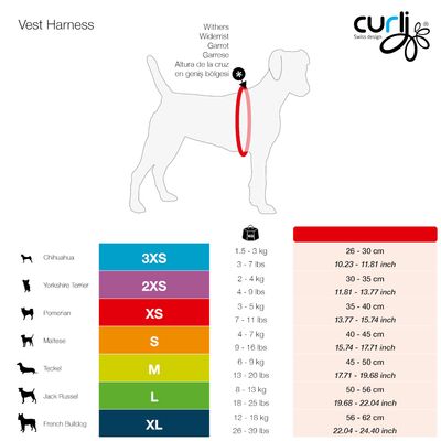 Curli Vest Geschirr Air-Mesh & Basic Leine - skyblue Caro