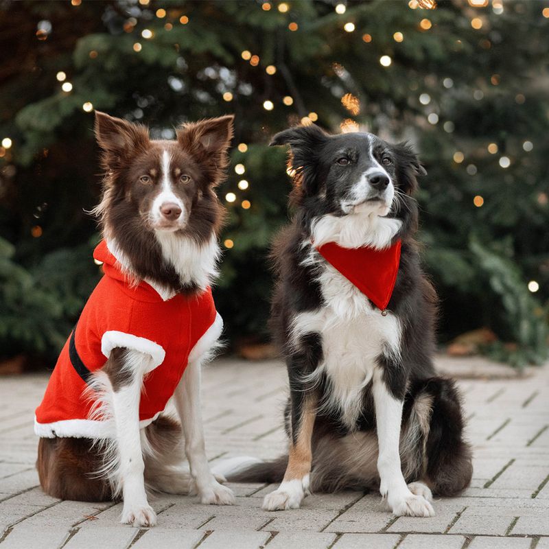 Trixie Hundemantel Santa zu TOP-Preisen