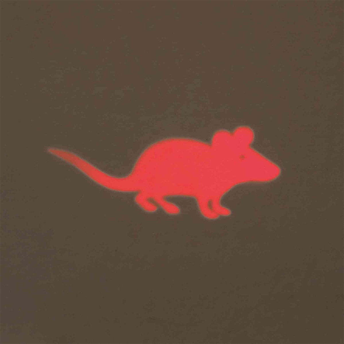 Trixie LED Pointer Catch the Light - Maus kaufen