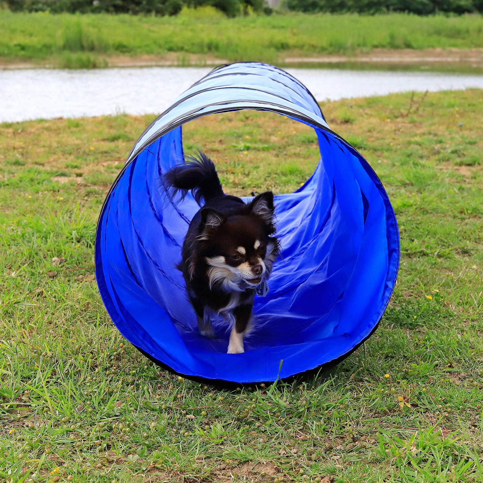 Lionto Agility & Training Lionto 2m Tunnel mit Heringen
