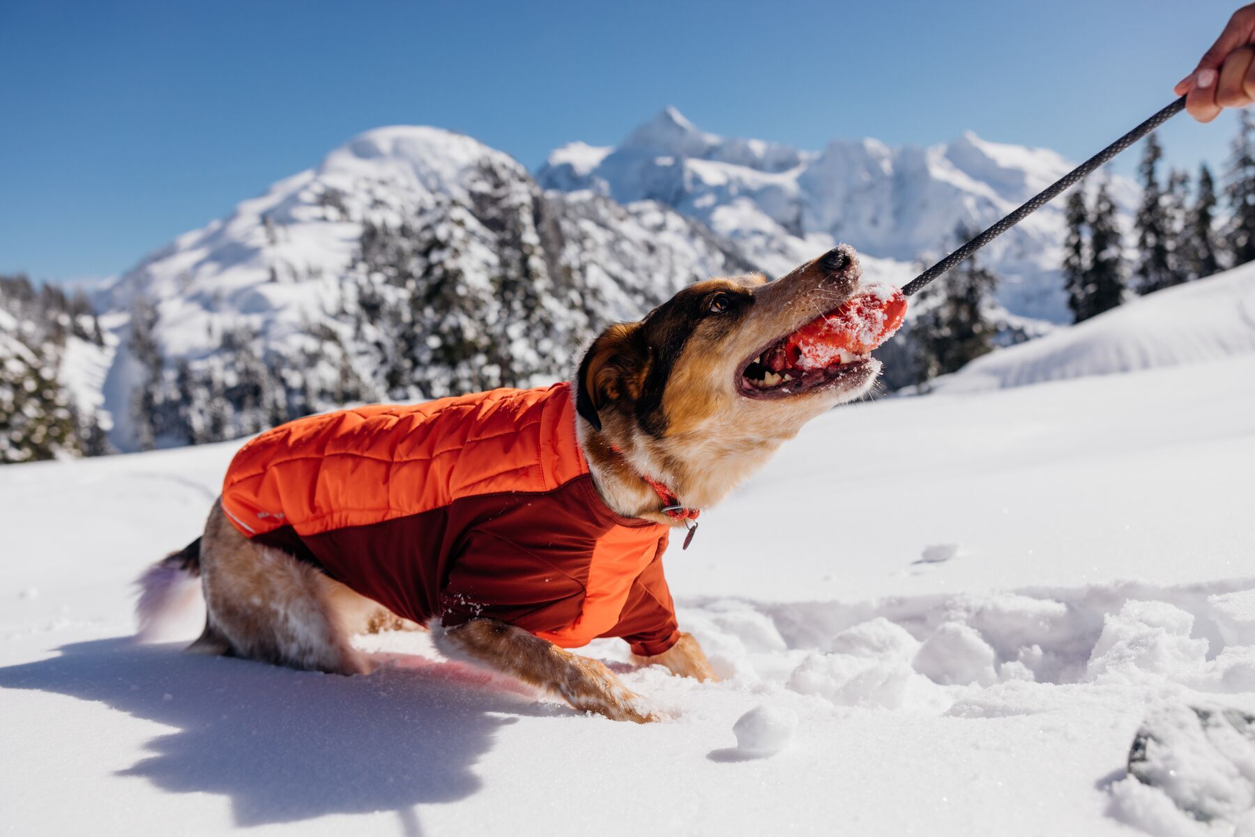 Ruffwear Frisbees & Wurfspielzeug Ruffwear Huck-a-Cone™ Spielzeug rot