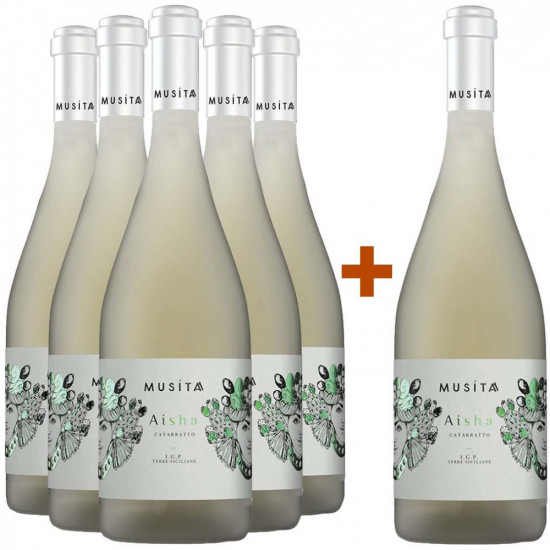 5+1 Paket Aysha Catarratto Terre Siciliane IGP - Musita