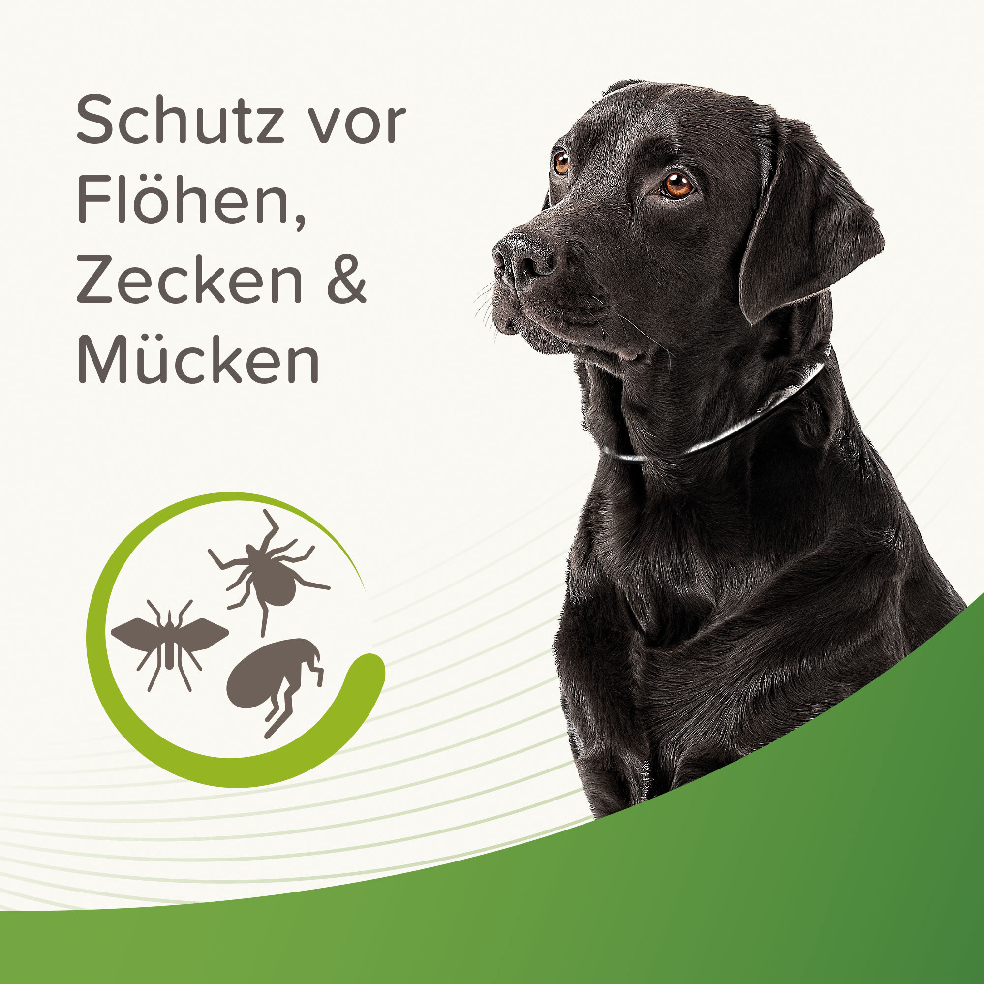 Beaphar Floh- & Zeckenmittel Beaphar reflektierendes Zecken- und Flohschutz Halsband