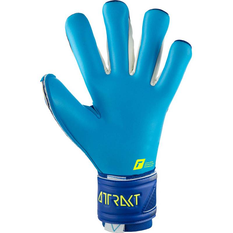 Reusch Attrakt Aqua Torwarthandschuhe