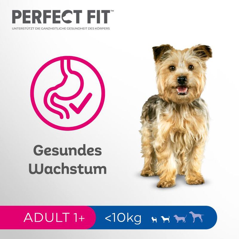 Perfect Fit Adult Small Dogs (<10kg)