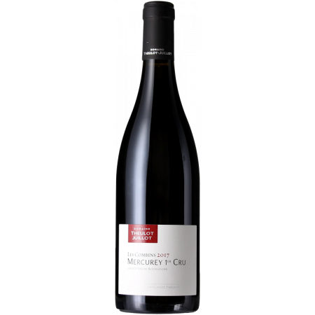 MERCUREY 1ER CRU - LES COMBINS 2021 - DOMAINE THEULOT JUILLOT